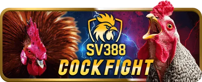 Thưởng sinh nhật VIP Baowin