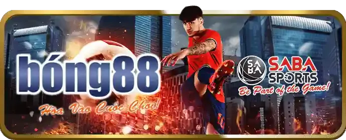Hoàn trả VIP Baowin